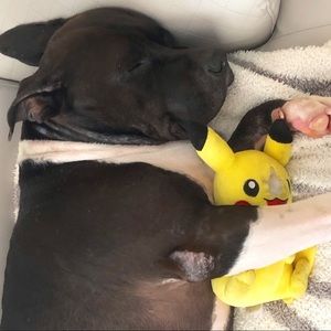 Meet your Posher, Deborah